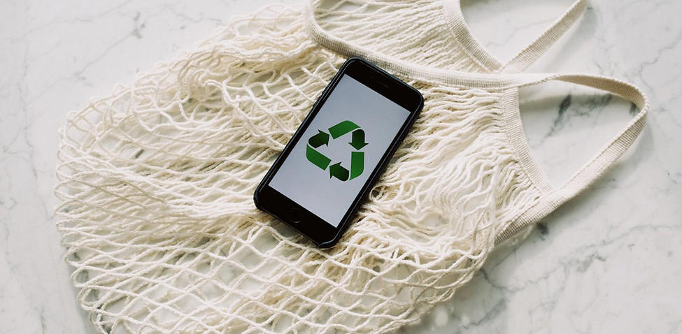 Recycling And Renewable Resources